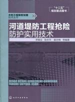 河道堤防工程搶險防護實用技術(shù)