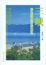 三峽庫區城鎮遷建總結性研究