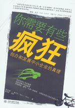 你需要有些瘋狂：創辦和發展中小企業的