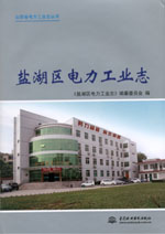 鹽湖區(qū)電力工業(yè)志