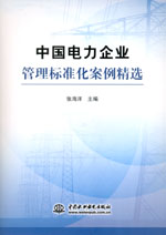 中國電力企業管理標準化案例精選