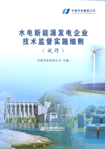 水電新能源發(fā)電企業(yè)技術(shù)監(jiān)督實(shí)施細(xì)則(