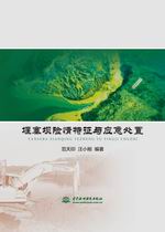 堰塞壩險(xiǎn)情特征與應(yīng)急處置
