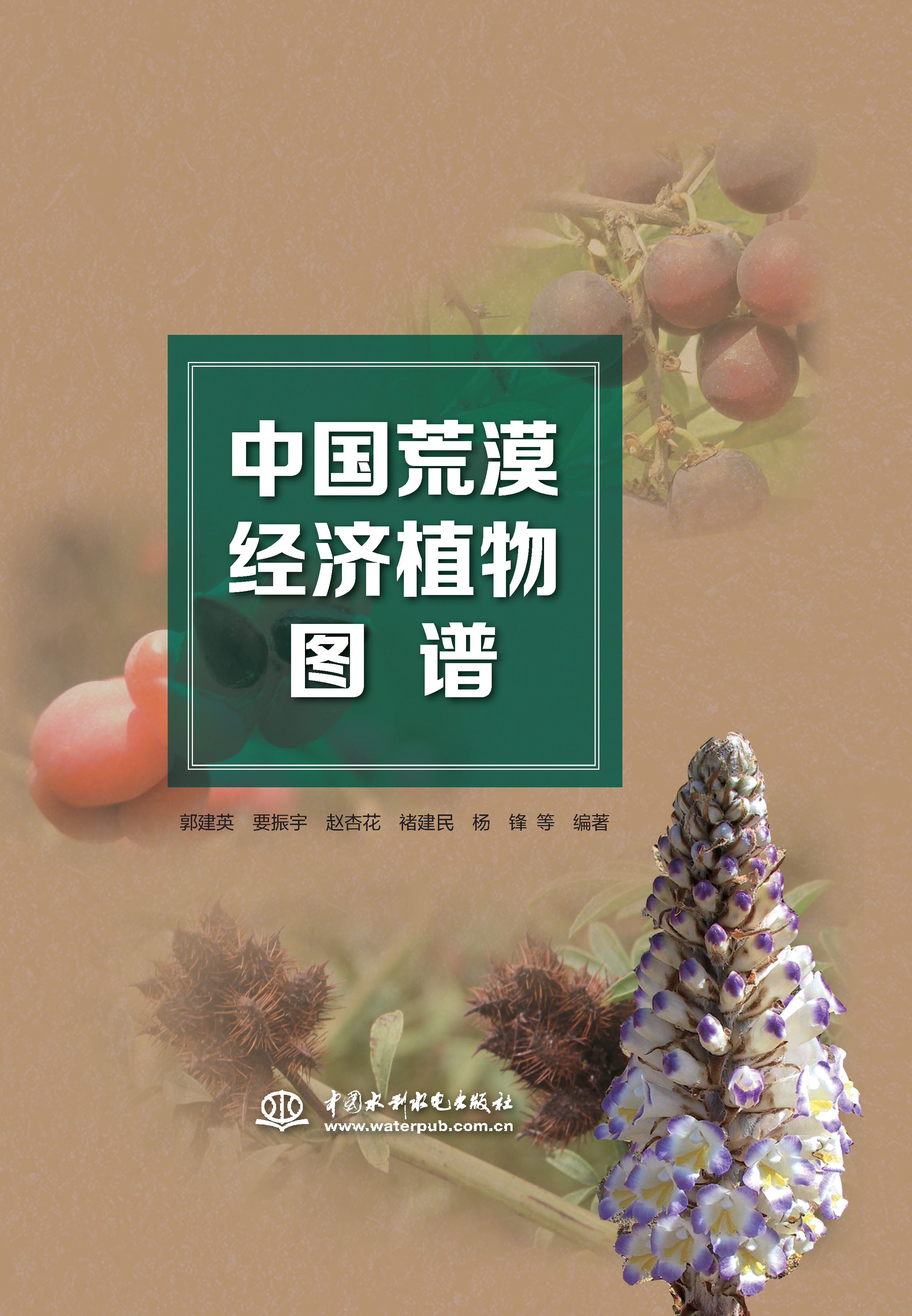 <b>中國荒漠經濟植物圖譜</b>